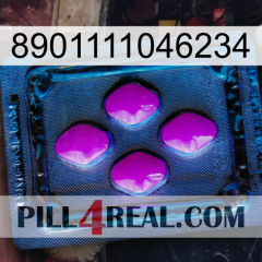 8901111046234 04